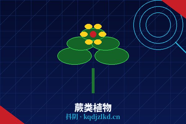 抖阴蕨类植物视频