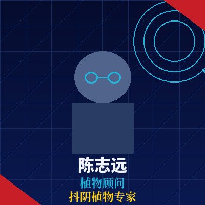 抖阴陈志远