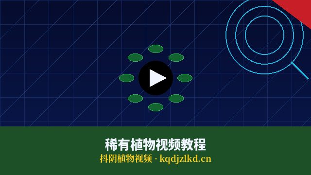 抖阴植物视频教程