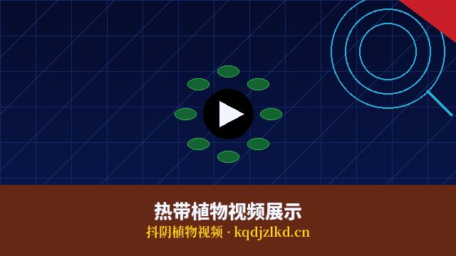 抖阴植物保护视频